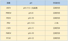 优等生石灰能做什么	(优等生石灰能做什么实验)