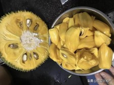 菠萝蜜为什么要涂石灰	(菠萝蜜为什么要切个口子涂石灰)