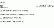 熟石灰能和什么物质反应	(熟石灰有关的化学反应方程式)