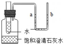 试管里的石灰水多少毫升	(试管里的石灰水多少毫升合适)