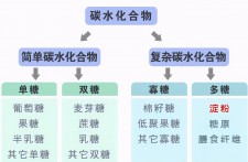 石灰膏含量一般是多少	(石灰膏含量一般是多少毫升)