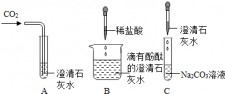 包含石灰水是由什么做成的原理	的词条