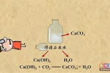 石灰为什么会有水分吸收	(石灰水为什么会出现白色固体)