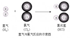 氯气加入石灰水生成什么	(氯气加石灰水的化学反应方程式)