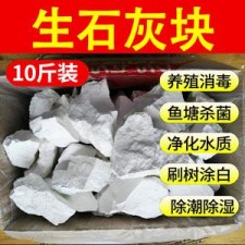 虾池生石灰消毒用多少	(虾池生石灰消毒用多少合适)