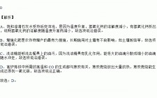 熟石灰燃烧会生成什么物质	的简单介绍