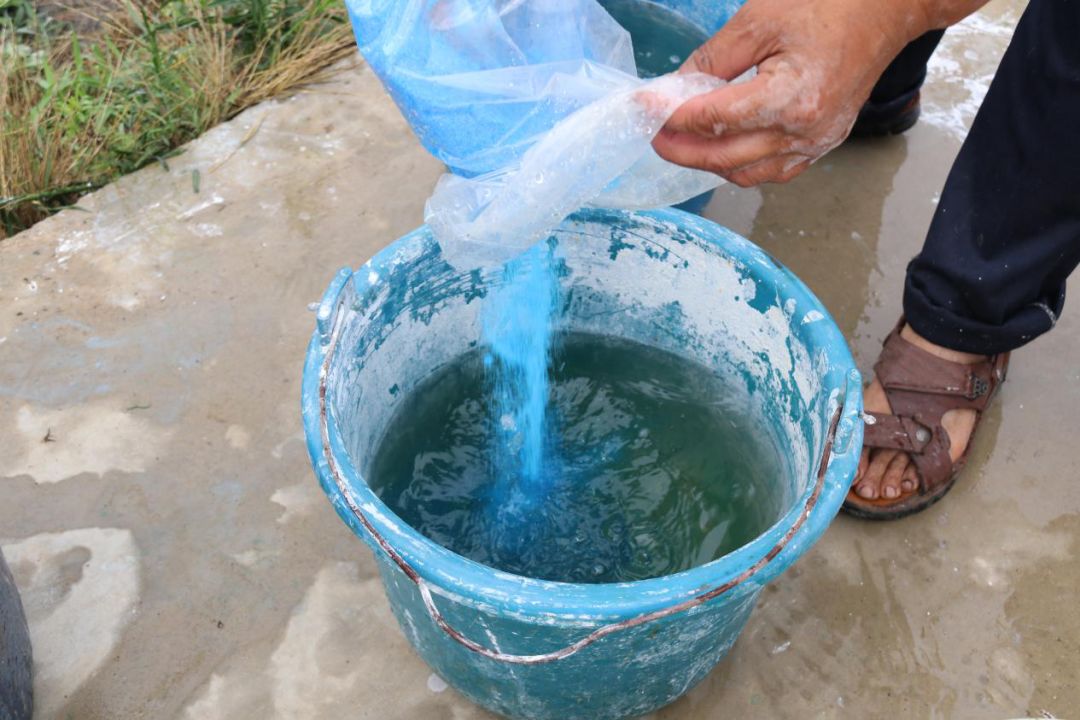 用什么溶器来装石灰水	(用什么溶器来装石灰水最好)